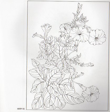 9787554708460　花の百態　実用白描画稿　線描　中国絵画_画像2