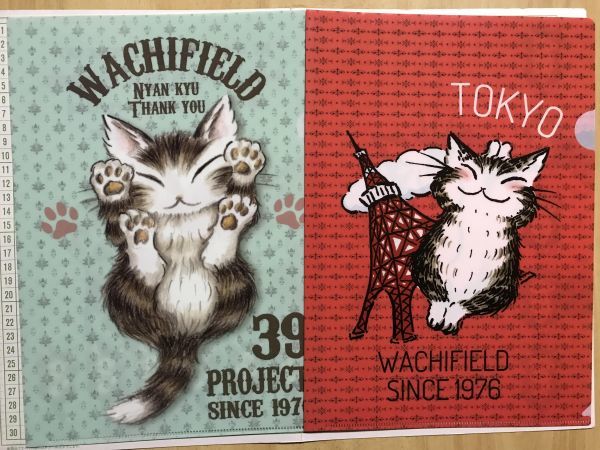 WACHIFIELD わちふぃーるど 猫のダヤン ２枚セット クリアファイル (4969)