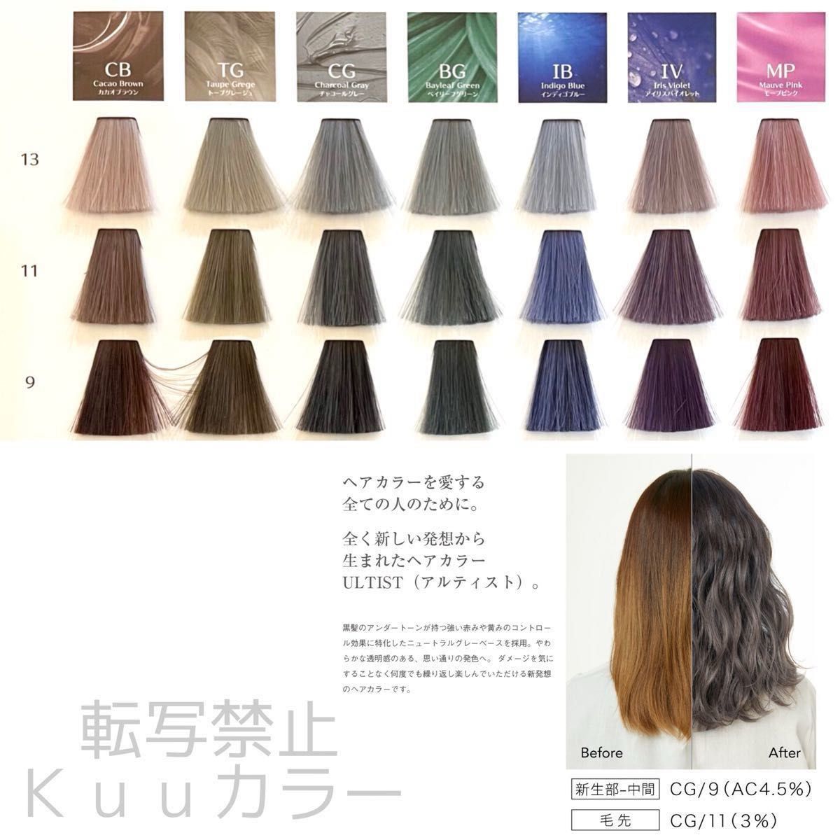 資生堂 ヘアカラー アルティスト プリミエンス【トリートメント 資生堂 ヘアカラー アルティスト プリミエンス【トリートメント