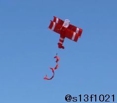 【送料無料】飛行機(jī)型の凧　たこ揚(yáng)げ　スポーツカイト