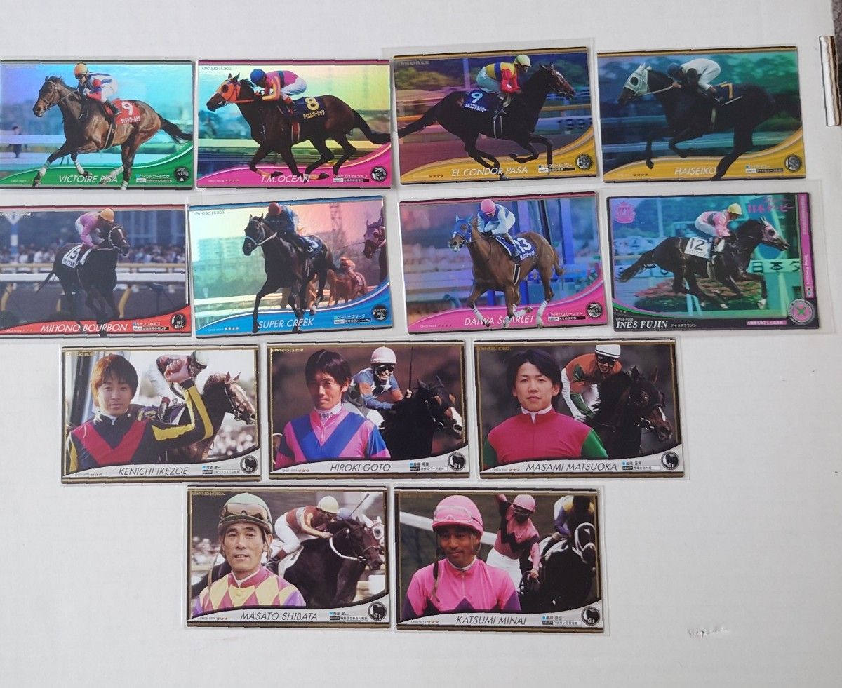 美品 競馬 オーナーズホース トレーディング カード 大量 バインダー付き 競馬トレカOWNERSHORSE オーナーズホース全130枚まとめ売り