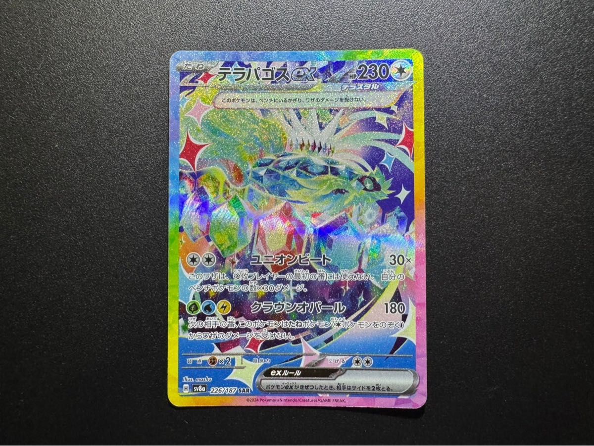 ポケモンカードゲーム テラパゴスex SAR テラスタルフェスex ポケモンカードゲーム テラパゴスex SAR テラスタルフェスex