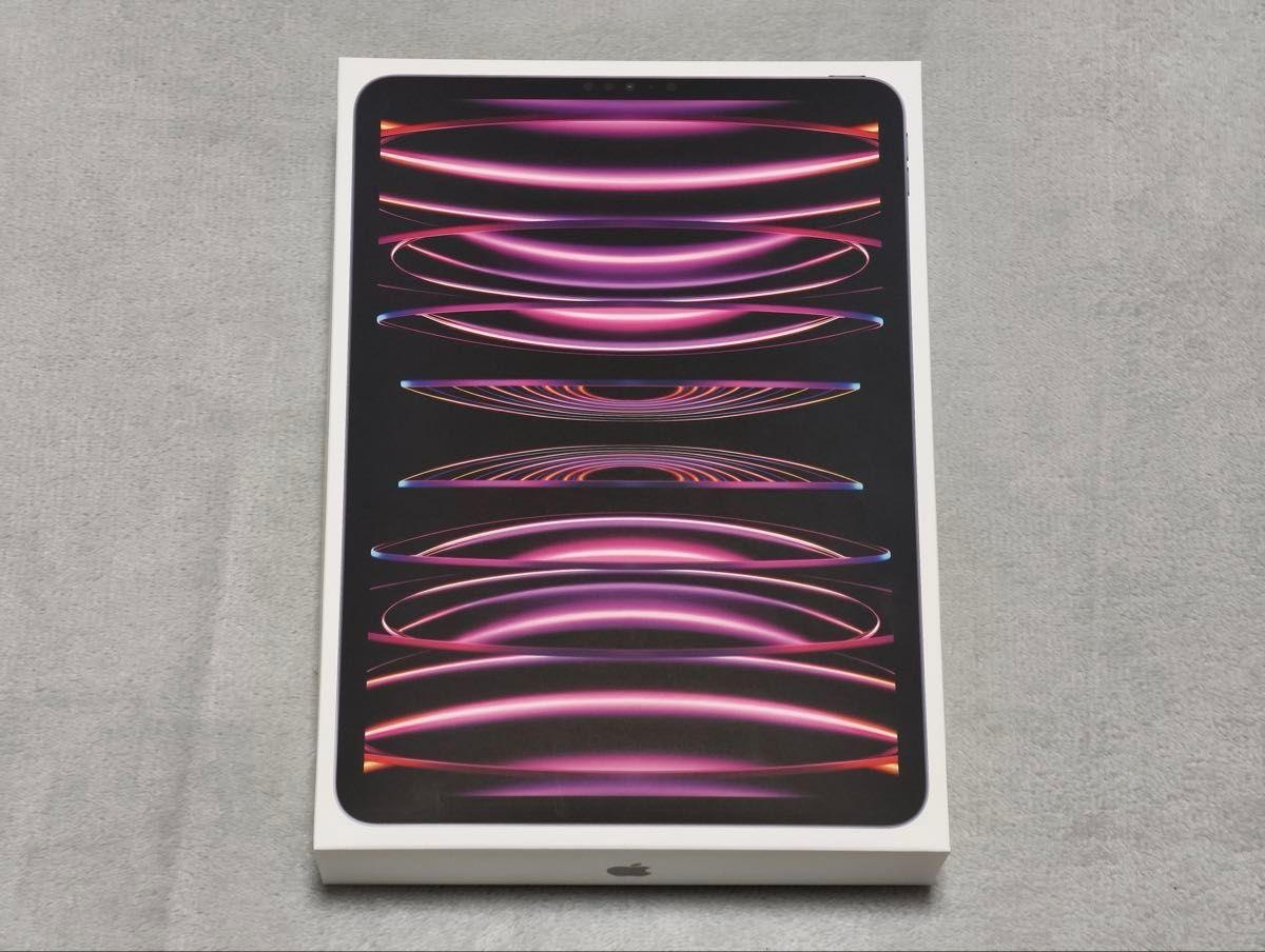 Apple iPad Pro 11インチ 128GB 第4世代 スペースグレイ 付属品 Apple iPad Pro 11インチ 128GB 第4世代 スペースグレイ 付属品