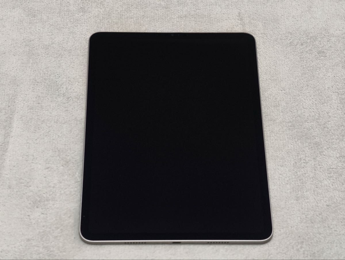 Apple iPad Pro 11インチ 128GB 第4世代 スペースグレイ 付属品 Apple iPad Pro 11インチ 128GB 第4世代 スペースグレイ 付属品