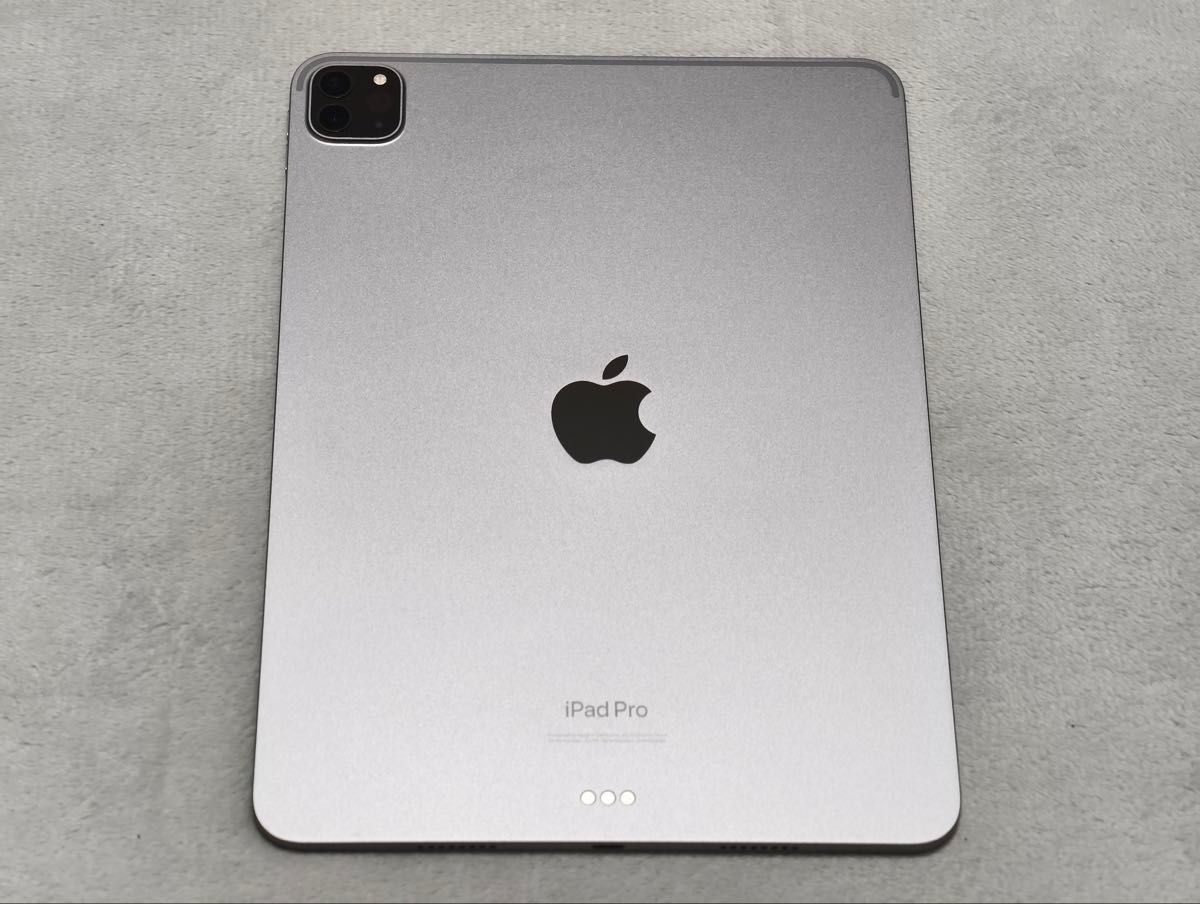 Apple iPad Pro 11インチ 128GB 第4世代 スペースグレイ 付属品 Apple iPad Pro 11インチ 128GB 第4世代 スペースグレイ 付属品