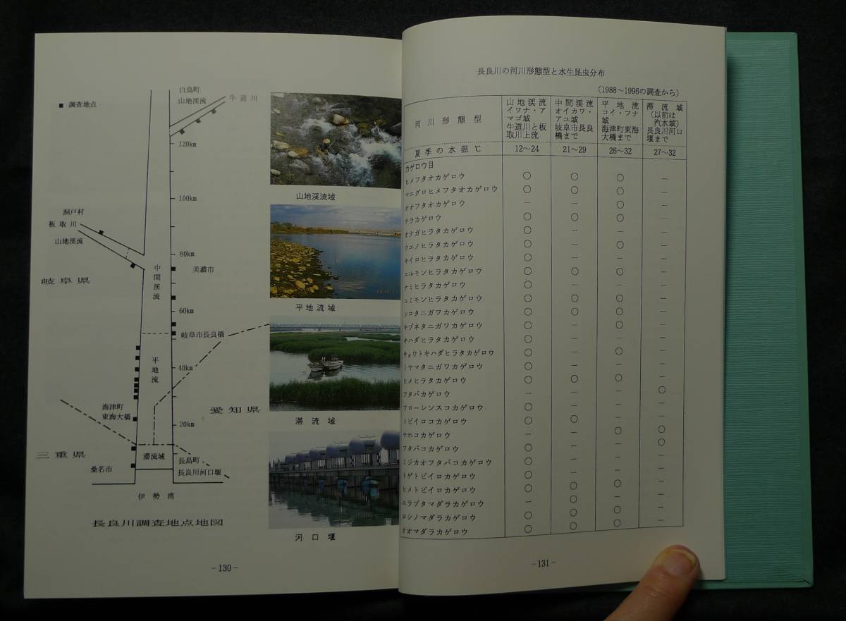 [ super rare ][ the first version, beautiful goods ] secondhand book aquatic insect map . Tokai compilation author : Aoki . middle day publish company 