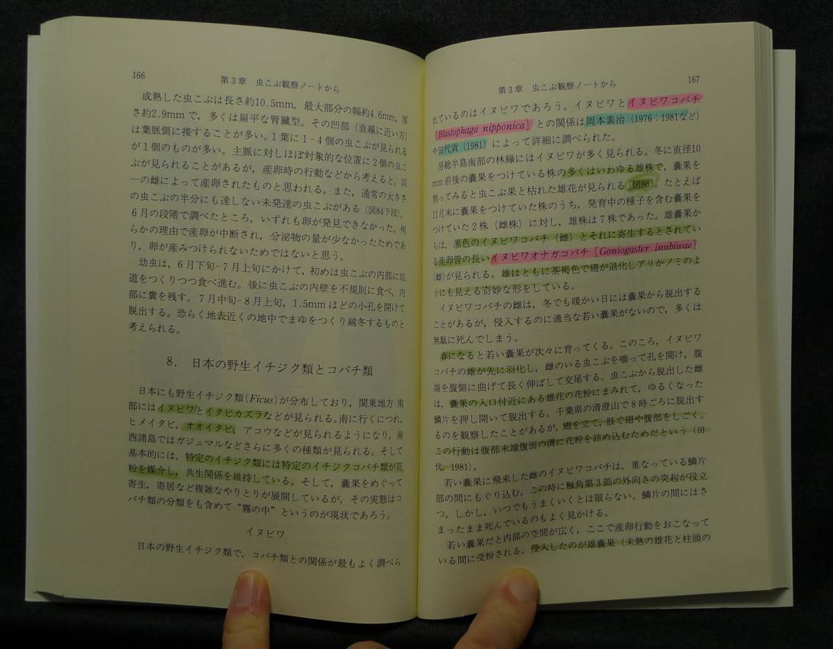 【超希少】【初版、美品】古本　虫こぶ入門　虫と植物の奇妙な関係　大昔から知られてきた不思議な自然現象　　薄葉重　八坂書房_画像7