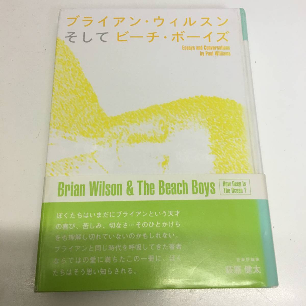  быстрое решение Brian * Wilson и пляж * boys 