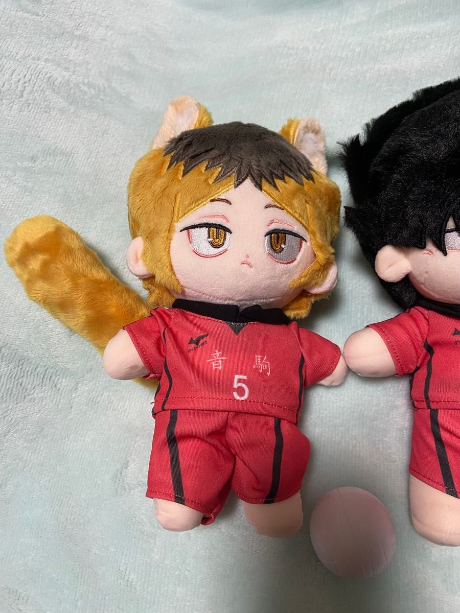 ハイキュー 研磨&黒尾 着せ替えぬいぐるみ 20cm スケルトン入り ハイキュー 研磨&黒尾 着せ替えぬいぐるみ 20cm スケルトン入り