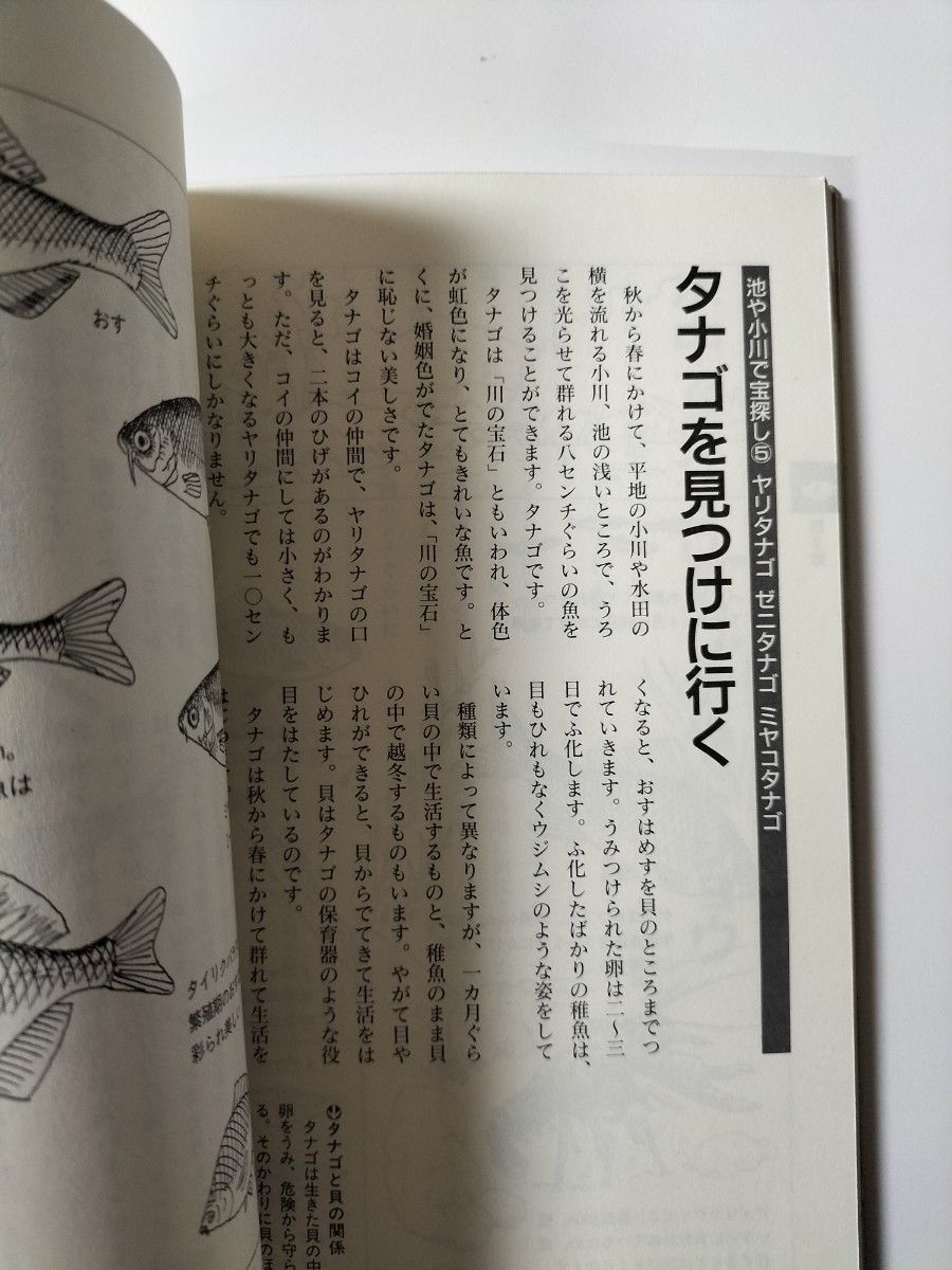 【図書館除籍本m41】アウトドア発見図鑑 野外で宝探し／アウトドア (その他)●クーポン200円引き