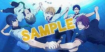  Free! Eternal Summer BD DVD アニメイト 1～4巻連動購入特典タペストリー_画像1