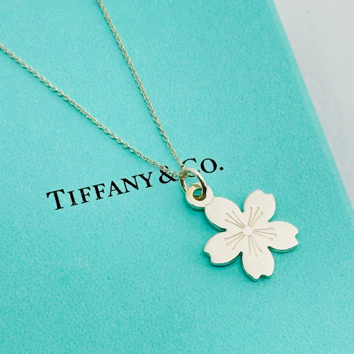 TIFFANY ティファニー ネックレス シルバー アクセサリー SV925 TIFFANY ティファニー ネックレス シルバー アクセサリー SV925