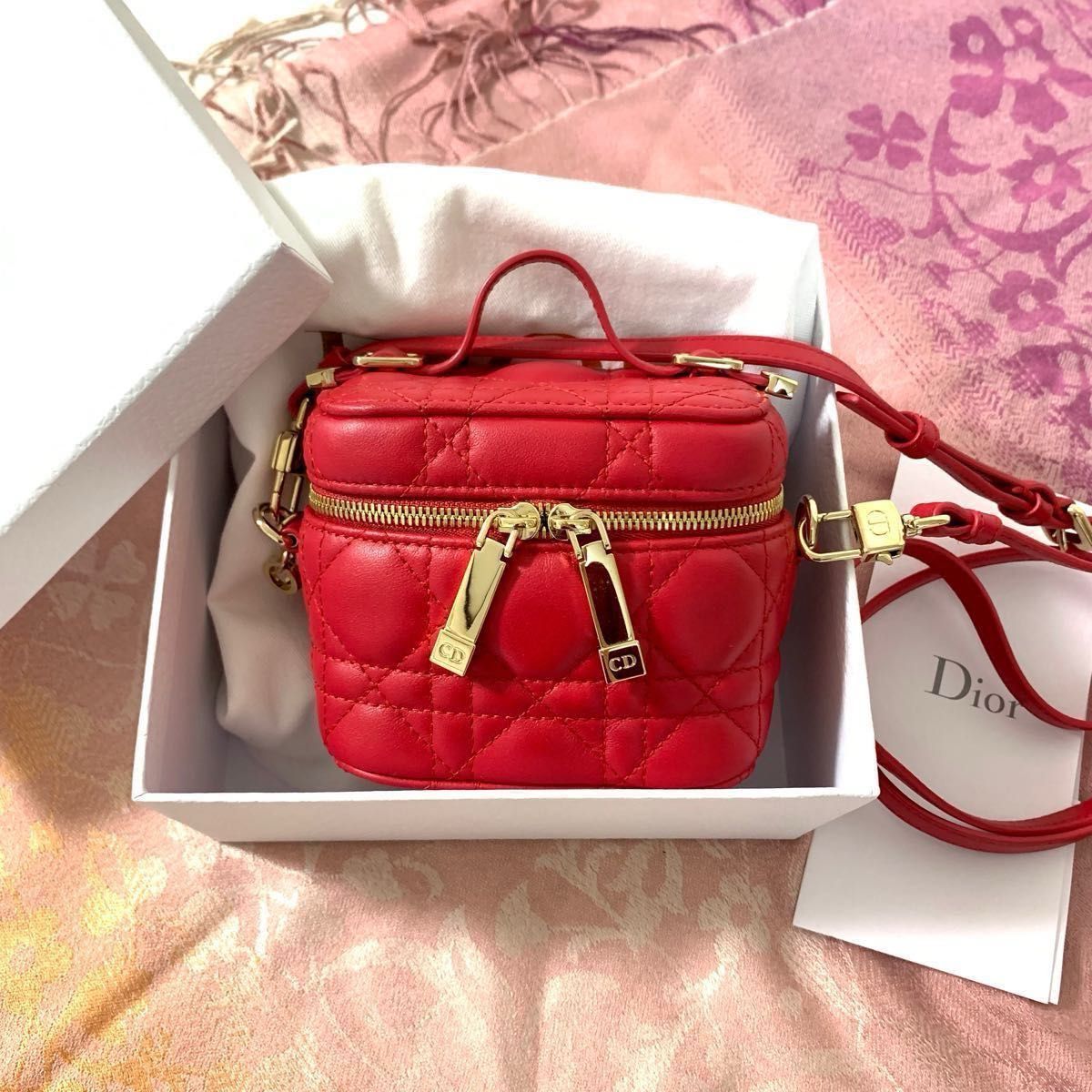 DIOR レディディオール マイクロヴァニティ レッド ゴールド金具 DIOR レディディオール マイクロヴァニティ レッド ゴールド金具