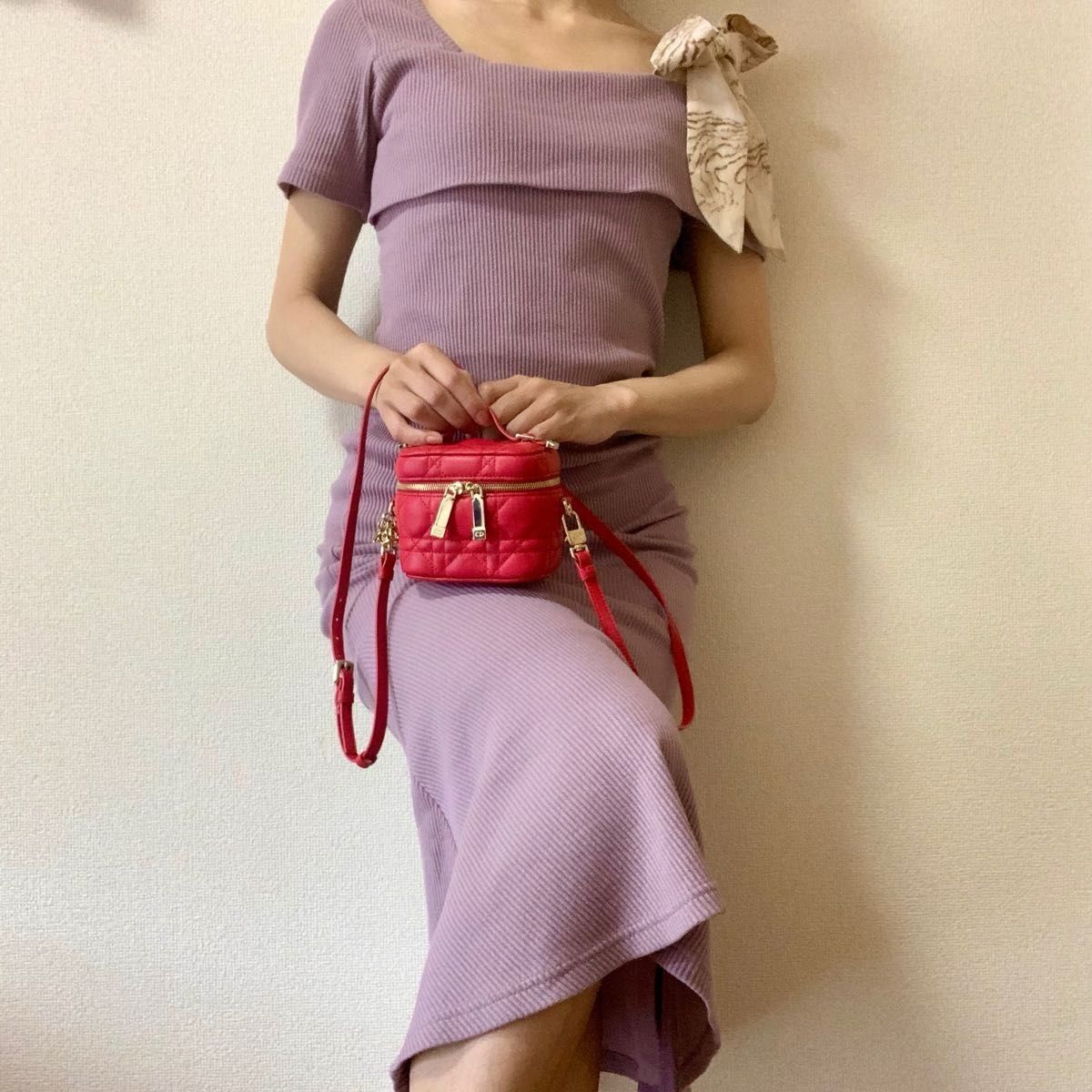 DIOR レディディオール マイクロヴァニティ レッド ゴールド金具 DIOR レディディオール マイクロヴァニティ レッド ゴールド金具