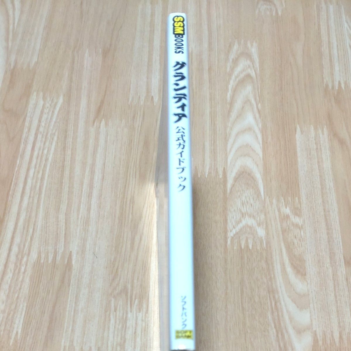 グランディア公式ガイドブック (SSM books グランディア公式ガイドブック (SSM books