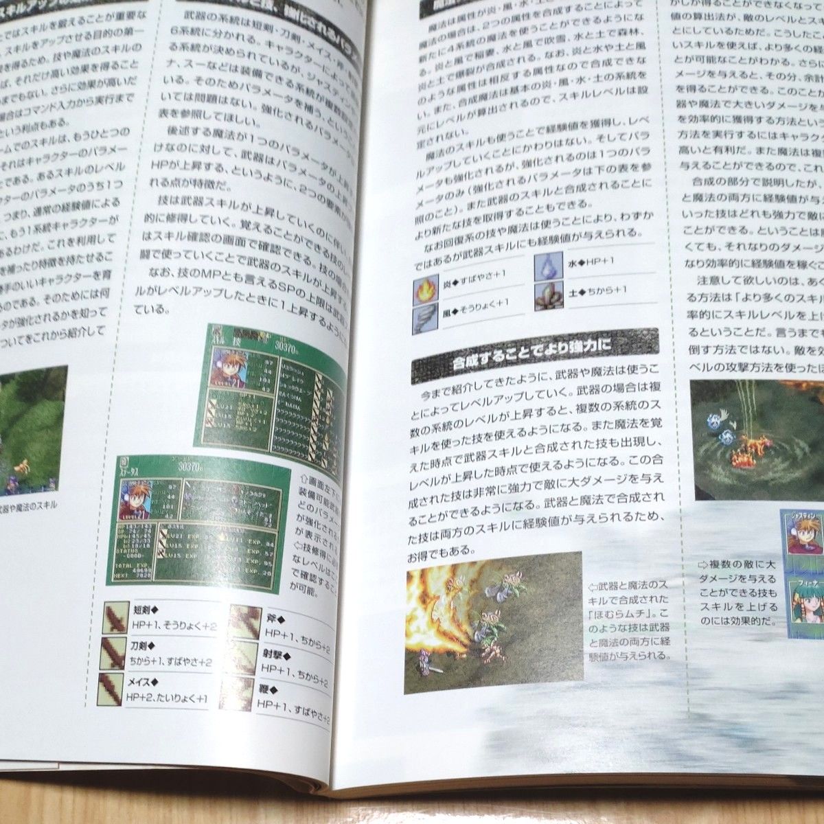 グランディア公式ガイドブック (SSM books グランディア公式ガイドブック (SSM books