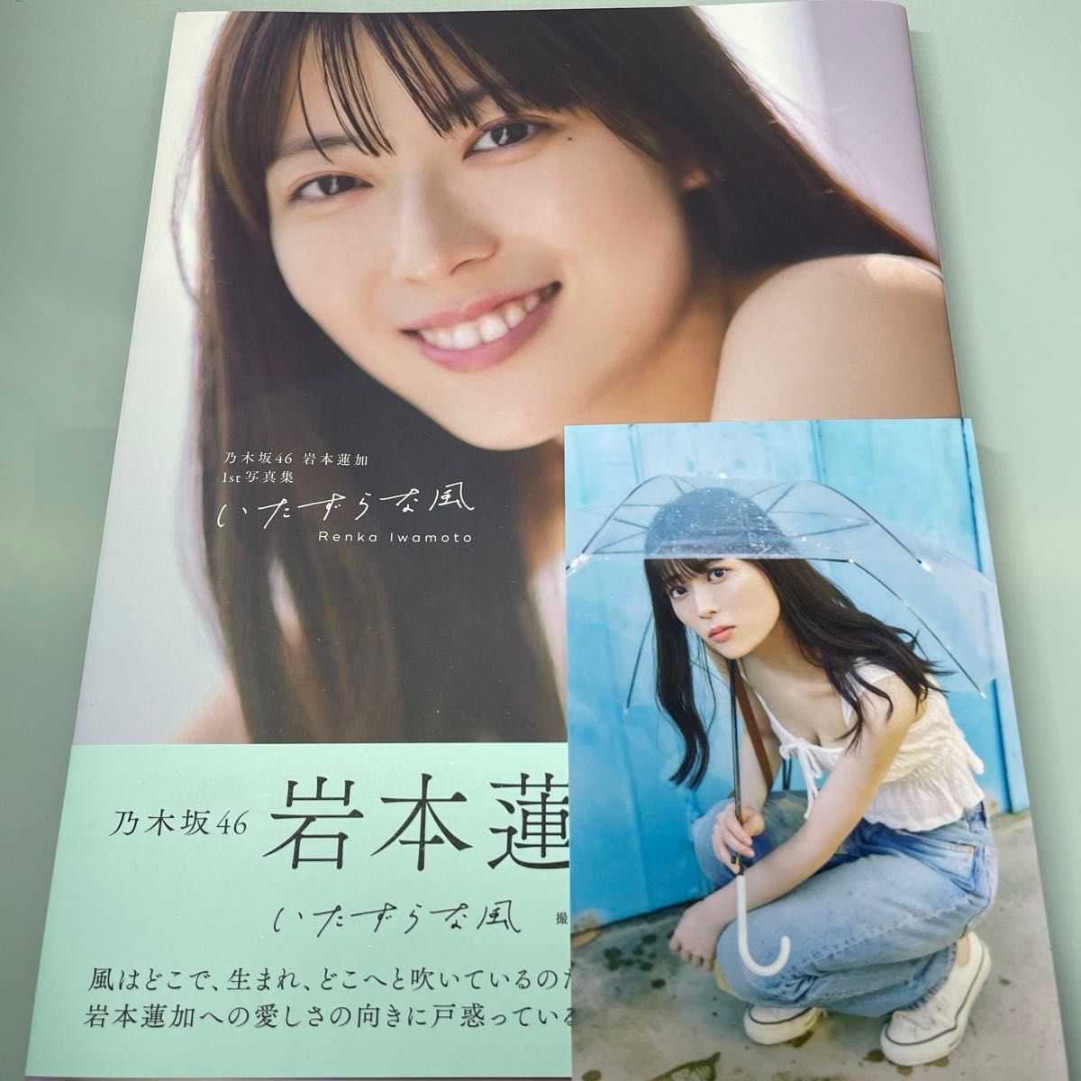 乃木坂46 岩本蓮加 1st写真集 いたずらな風 メッセージ付き 乃木坂46 岩本蓮加 1st写真集 いたずらな風 メッセージ付き