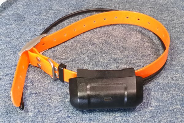 ガーミン DC40 中古 動作確認済み 【 Garmin GPS アストロ 220 ガーミン DC40 中古 動作確認済み 【 Garmin GPS アストロ 220