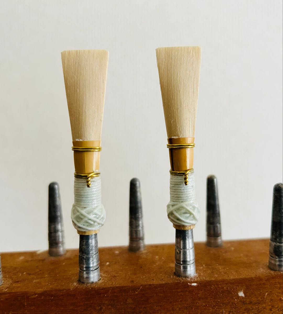 ファゴットリード5本セット ファゴットリード(蛯澤モデル)5本セット ファゴット用品