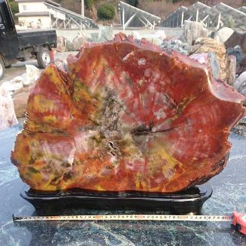  have zona production .. tree 24.8 kilo garden stone appreciation stone tray stone suiseki st bonsai light . structure . tsubo garden garden gardening ornament objet d'art interior cactus fossil raw ore gem Power Stone 