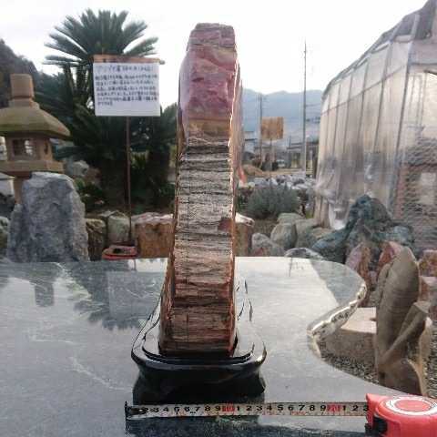  have zona production .. tree 24.8 kilo garden stone appreciation stone tray stone suiseki st bonsai light . structure . tsubo garden garden gardening ornament objet d'art interior cactus fossil raw ore gem Power Stone 