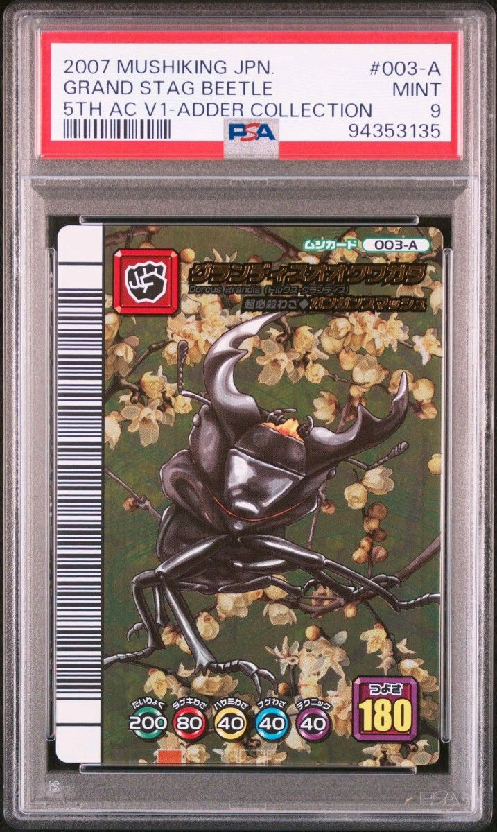 甲虫王者 ムシキング 5周年 グランディスオオクワガタ アダー 甲虫王者 ムシキング 5周年 グランディスオオクワガタ アダー