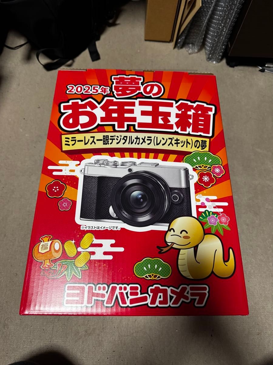 ヨドバシカメラ 夢のお年玉箱2025 ミラーレス一眼デジタルカメラ ヨドバシカメラ 夢のお年玉箱2025 ミラーレス一眼デジタルカメラ