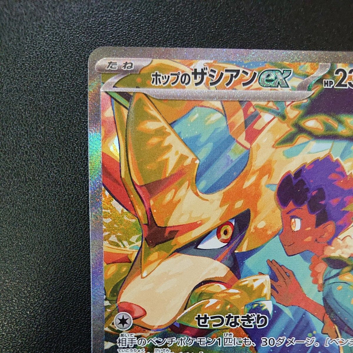 ホップのザシアンex sar|Yahoo!フリマ(旧PayPayフリマ) ホップのザシアンex sar|Yahoo!フリマ(旧PayPayフリマ)