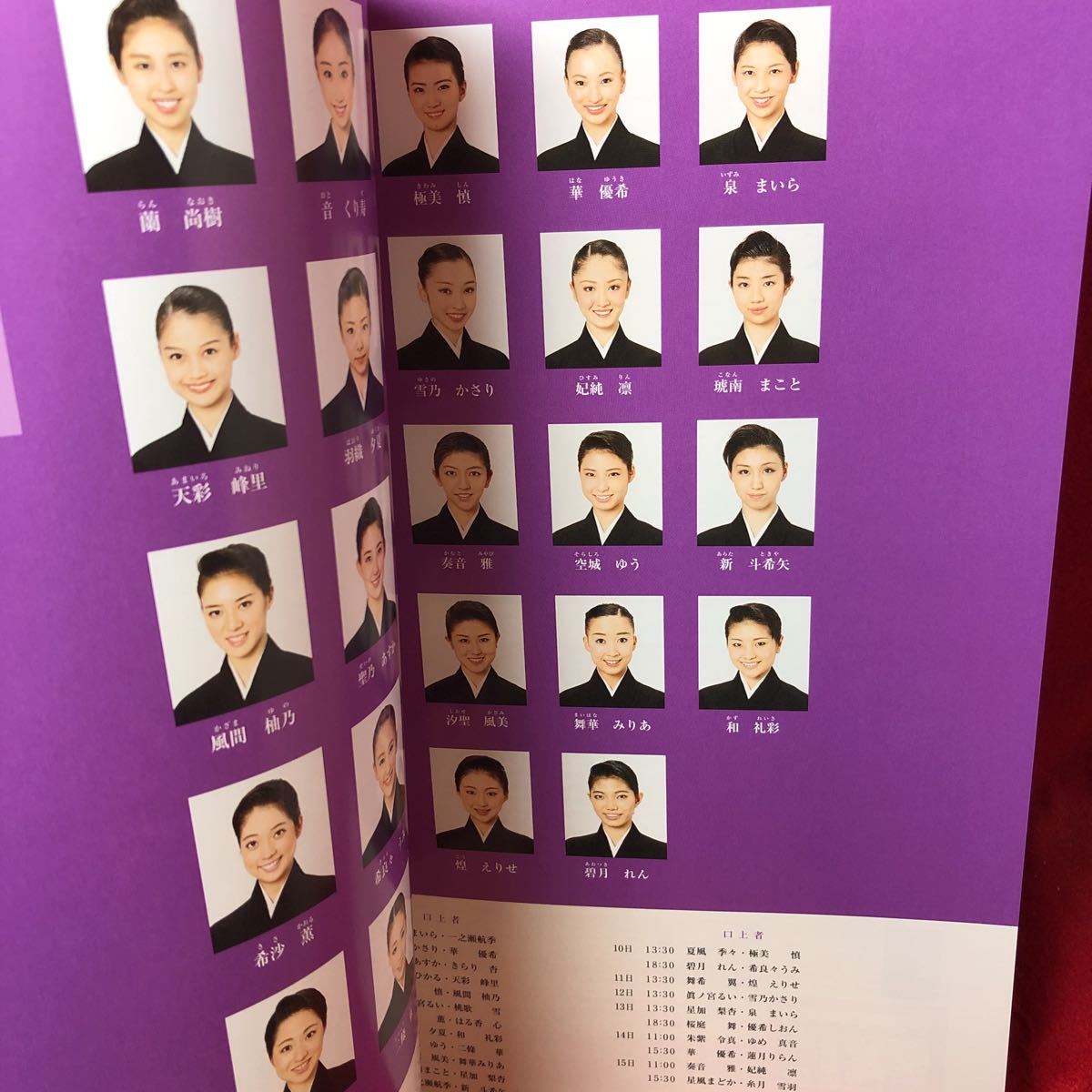 ヤフオク Takarazuka 東京宝塚劇場 月組公演 14 宝塚を ヤフオク Takarazuka 東京宝塚劇場 月組公演 14 宝塚を