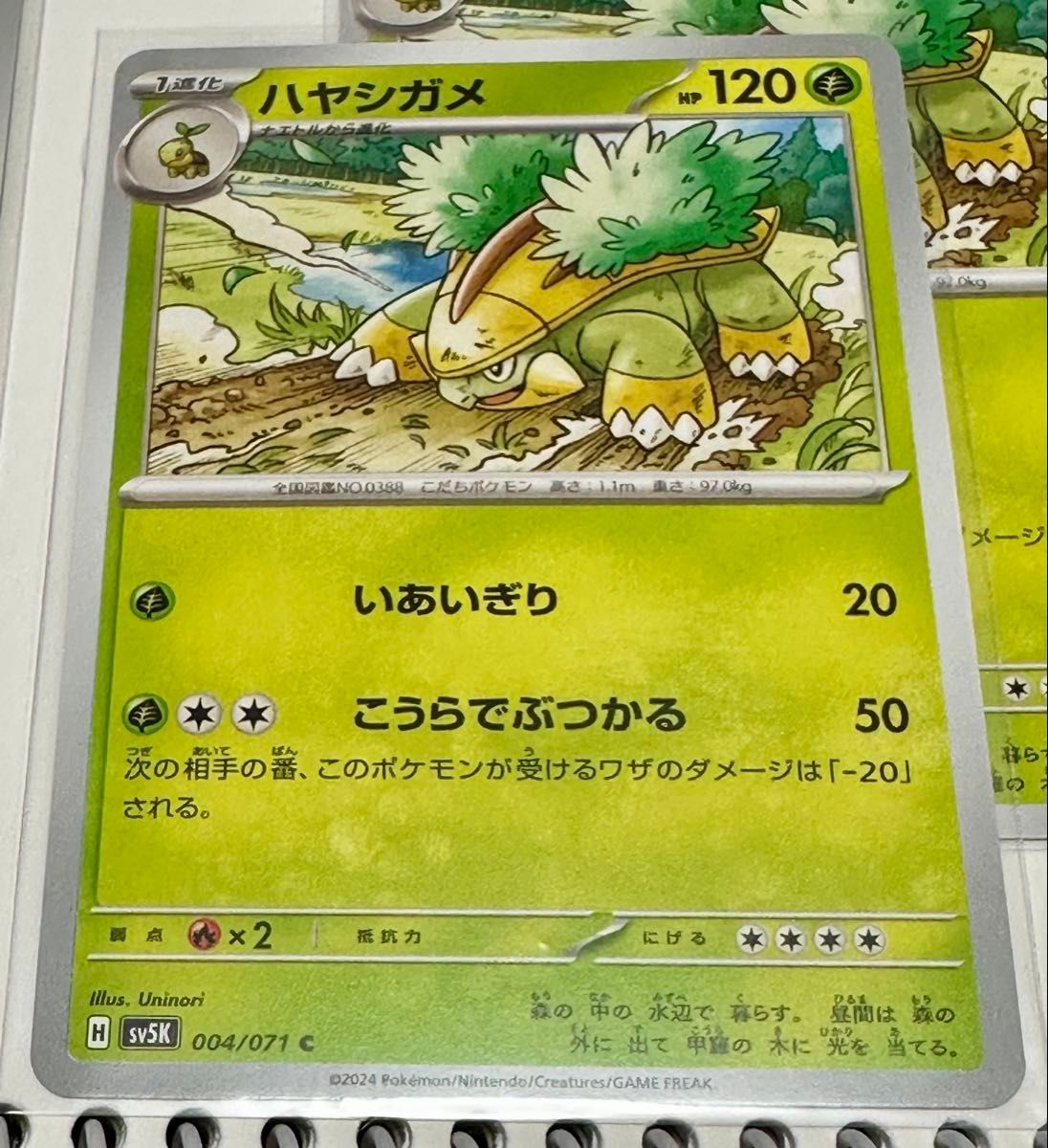 ポケカ 6枚セット ドダイトスex RR ハヤシガメ ナエトル sv5K ポケカ 6枚セット ドダイトスex RR ハヤシガメ ナエトル sv5K