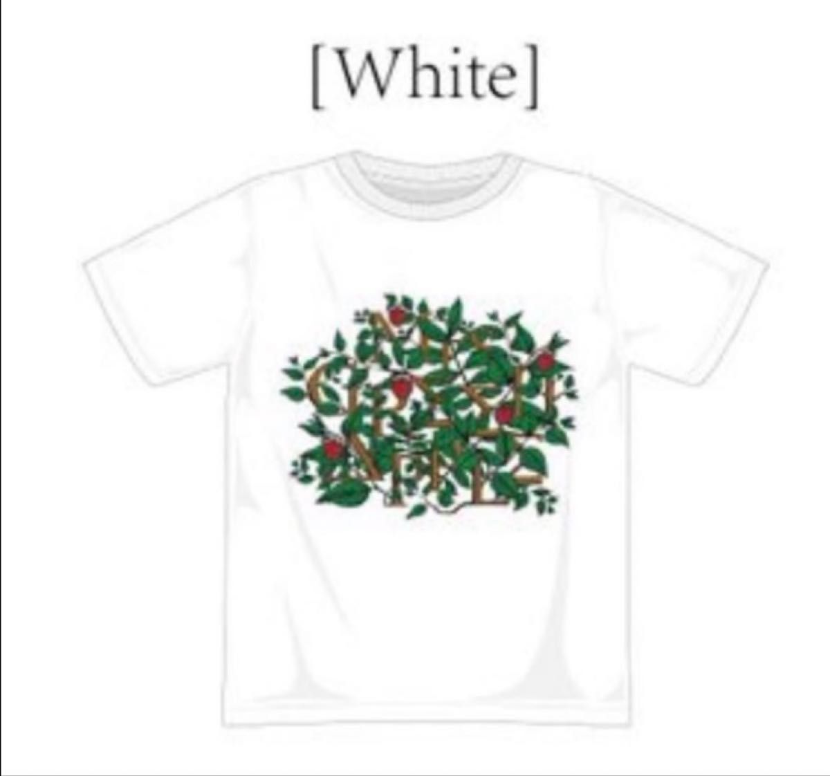Amazon.co.jp: Mrs.GREEN APPLEE ミセス グッズ Tシャツ Lサイズ Amazon.co.jp: Mrs.GREEN APPLEE ミセス グッズ Tシャツ Lサイズ