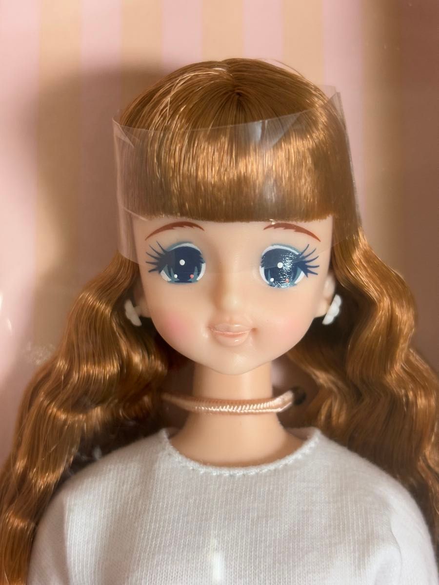 新品未開封 リカちゃんキャッスル 2019年度版クリスマスモデル 新品未開封 リカちゃんキャッスル 2019年度版クリスマスモデル