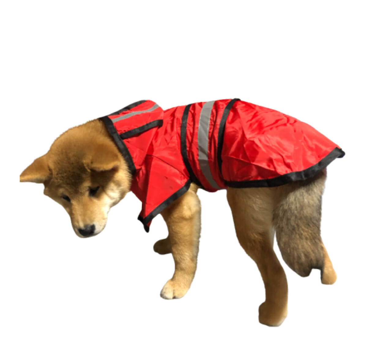 新品●送料無料●犬　レインコート　サイズ　２XL　赤　レッド　フード付き　著脫超簡単　雨の日のおさんぽも楽しい