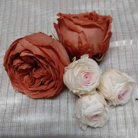 S2012905 Blizzard flower arrangement material for flower arrangement kit 
