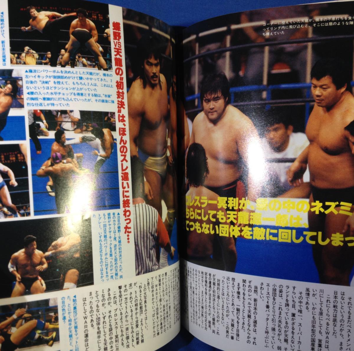 週刊プロレス 緊急増刊 1993年7月4日号 No.559 6814 6/15 6/17 新日本VSWAR 3大決戦速報の画像10