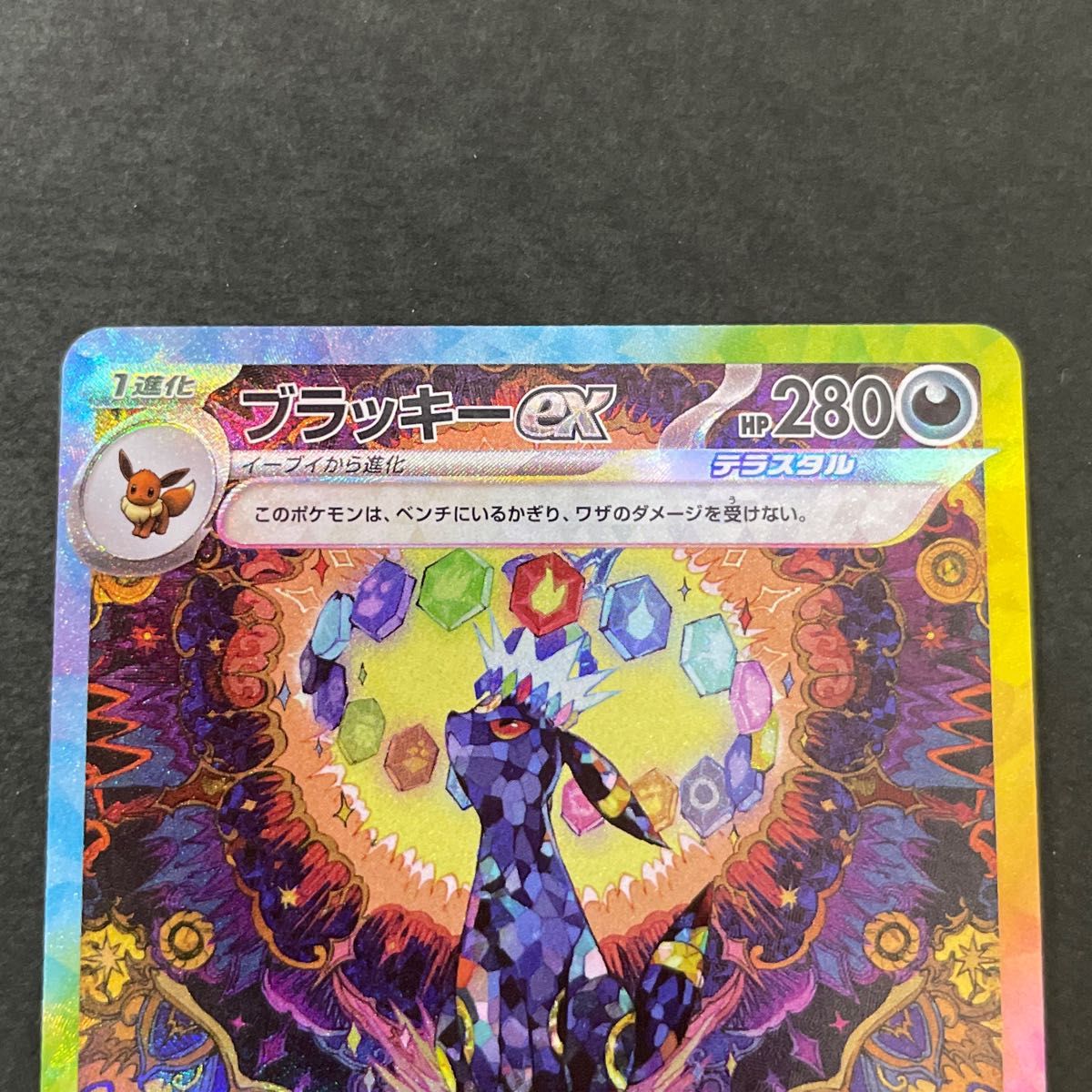 ブラッキーex SAR テラスタルフェス ポケモンカード ポケカ ブラッキーex SAR テラスタルフェス ポケモンカード ポケカ