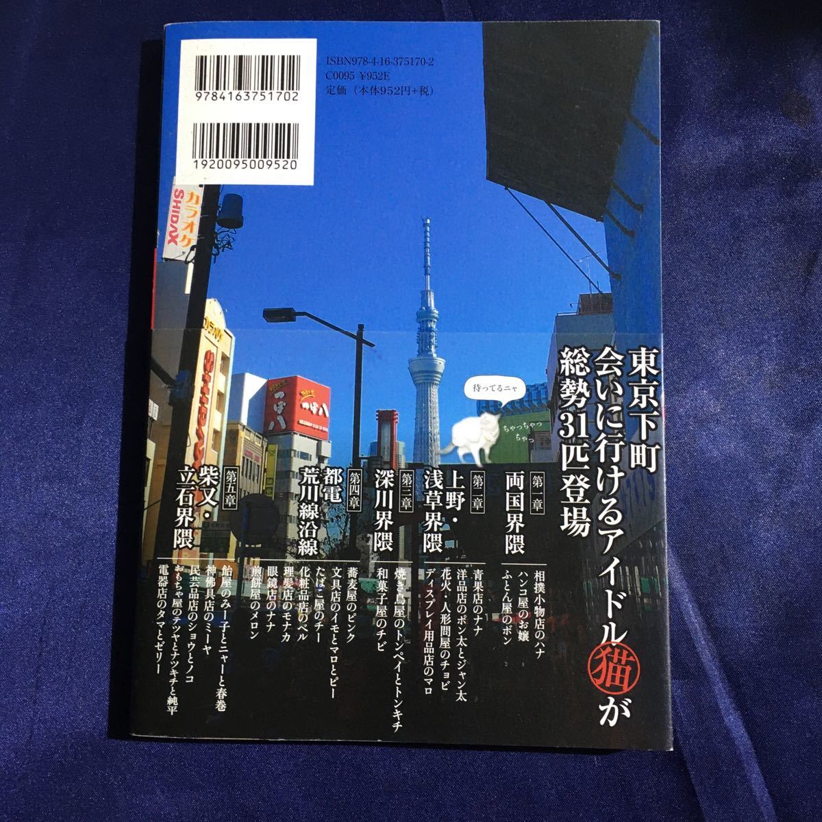 [ бесплатная доставка ]... табличка кошка . есть Tokyo внизу блок .| слива Цу иметь ..[ работа ] фото * фотоальбом 