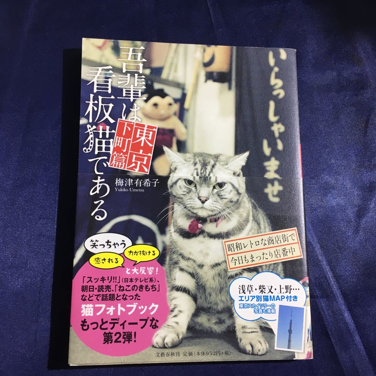 [ бесплатная доставка ]... табличка кошка . есть Tokyo внизу блок .| слива Цу иметь ..[ работа ] фото * фотоальбом 