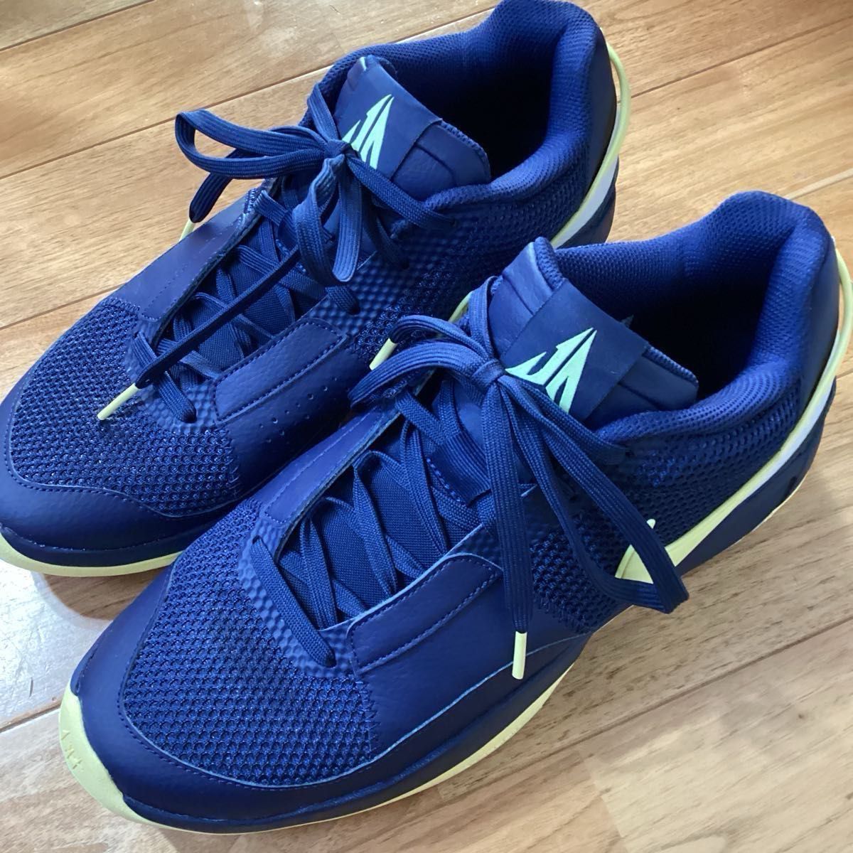 ナイキNIKEバスケットシューズ29cmHPジャ1EP ジャモラント JA 1 ナイキNIKEバスケットシューズ29cmHPジャ1EP ジャモラント JA 1