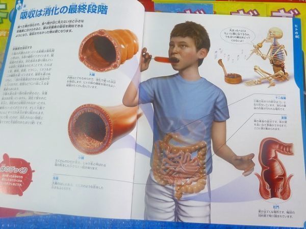 2025年最新】アーサー 体のふしぎの人気アイテム - メルカリ