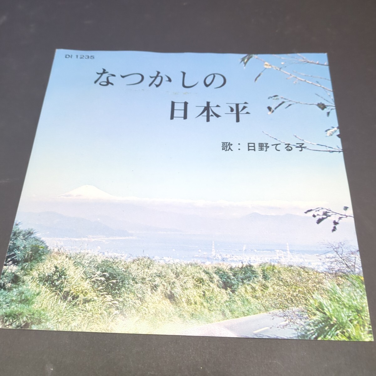 日野てる子、若獅子「なつかしの日本平、大崩音頭」　自主盤　日本平、大崩海岸（静岡市）　宣材付き　DI 1235