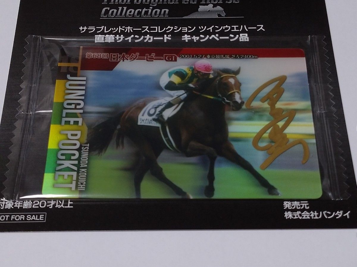 超貴重】角田晃一元騎手(現調教師) 直筆サインカード 超貴重】角田晃一元騎手(現調教師) 直筆サインカード