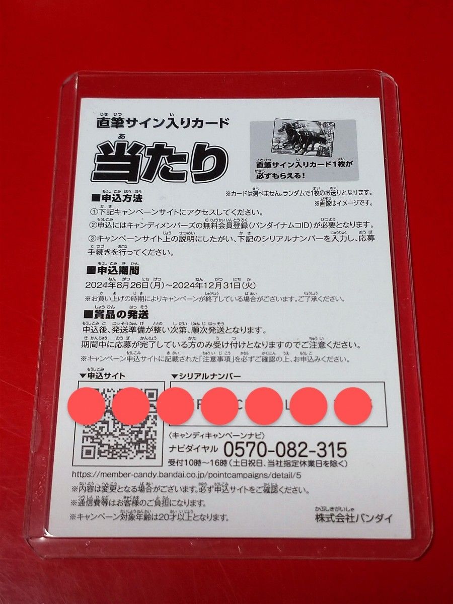 超貴重】角田晃一元騎手(現調教師) 直筆サインカード 超貴重】角田晃一元騎手(現調教師) 直筆サインカード