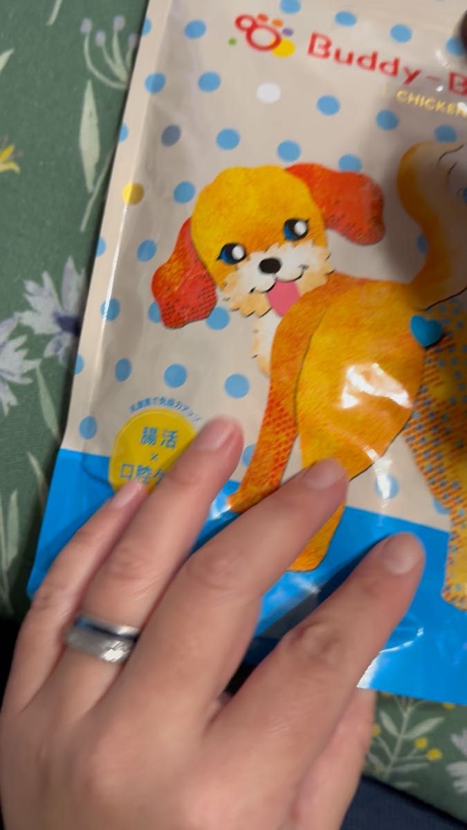 BUDDY BUDDY チキン味 腸活口腔ケアフード