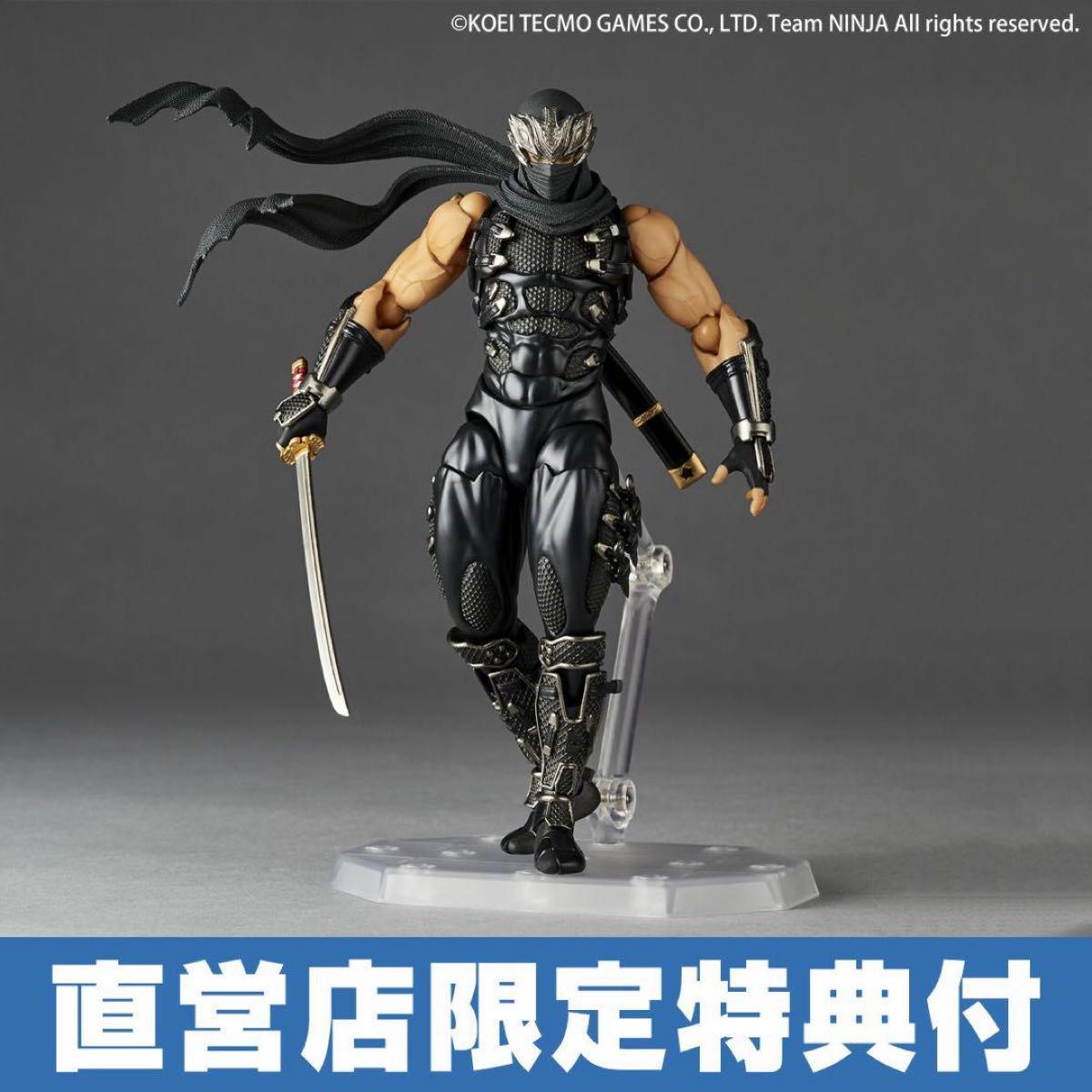 アメイジングヤマグチ NINJA GAIDENシリーズ リュウ・ハヤブサ アメイジングヤマグチ NINJA GAIDENシリーズ リュウ・ハヤブサ