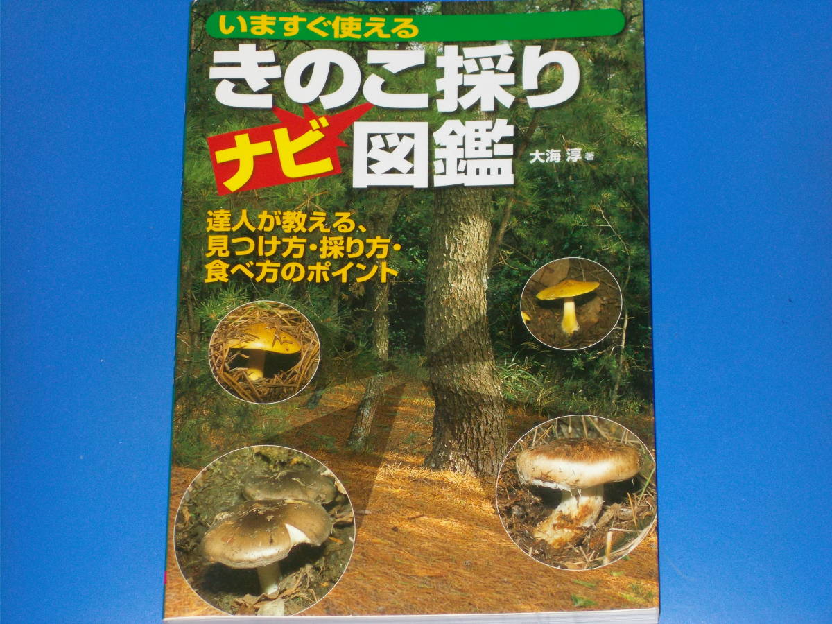 ヤフオク きのこ採り ナビ 図鑑 いますぐ使える Outdoor