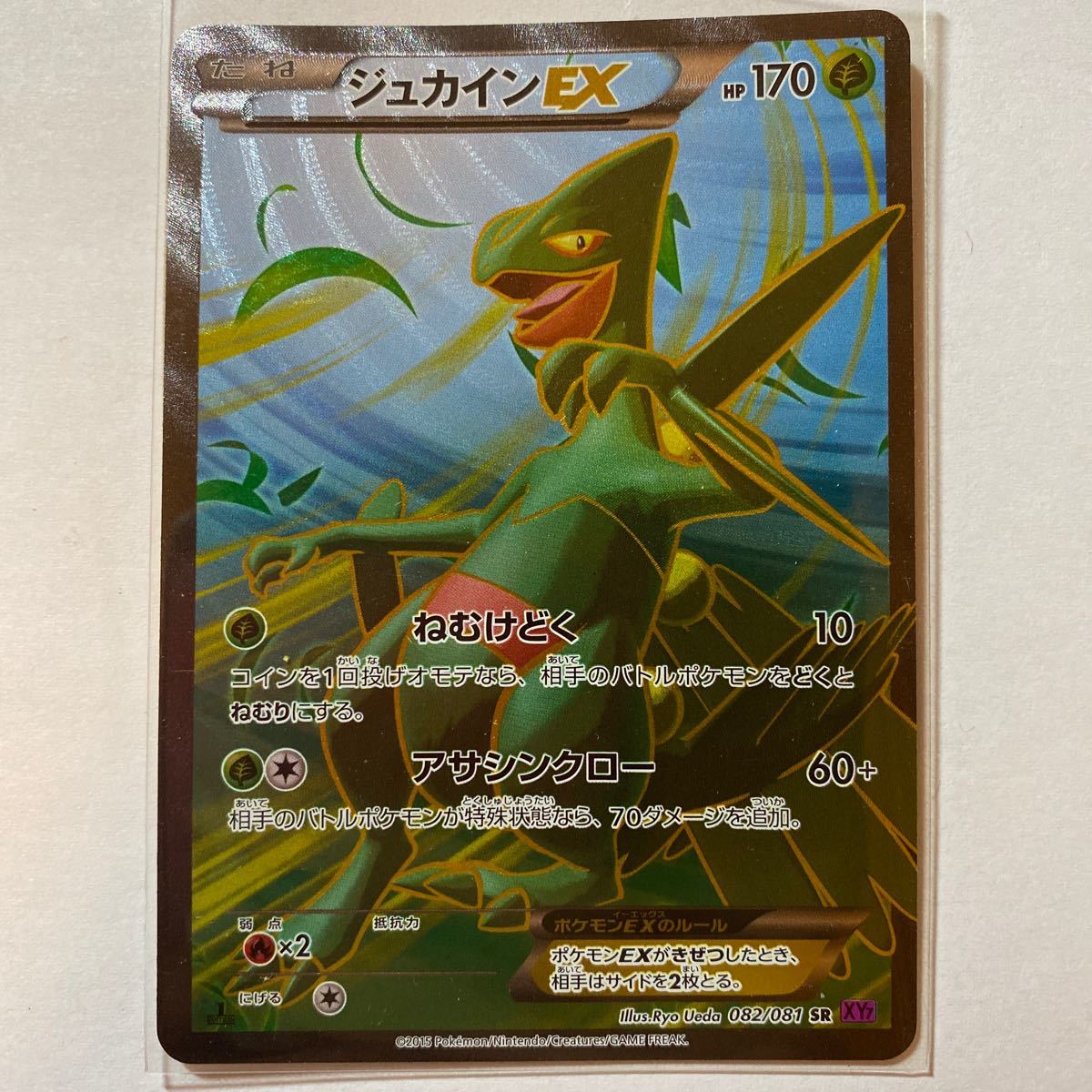 ヤフオク ポケモンカードxy7 ジュカインex Sr 在庫1 未使用