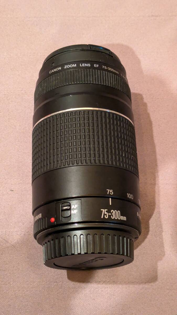 Final D8000 SONOROUS 用 オーグライン 八芯 4.4mm5極 120cm Final D8000 SONOROUS 用 オーグライン 八芯 4.4mm5極 120cm
