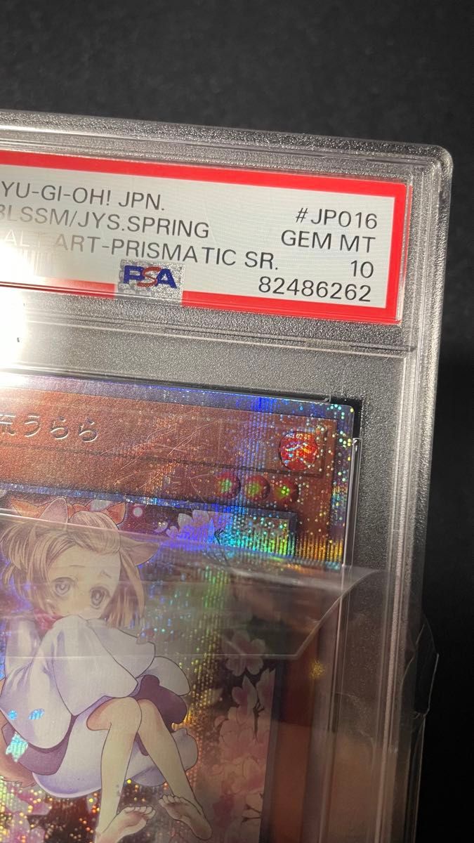 ※ケース傷有り 灰流うらら プリシク PSA10 PAC1-JP016 ケース傷有り 灰流うらら プリシク PSA10 PAC1-JP016|Yahoo