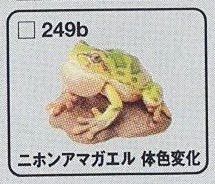 海洋堂チョコQ 249b ニホンアマガエル（体色変化）_画像1